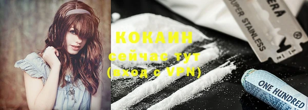ешки Вяземский