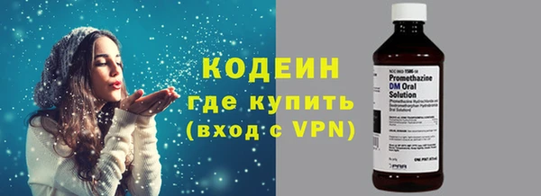 индика Каменка