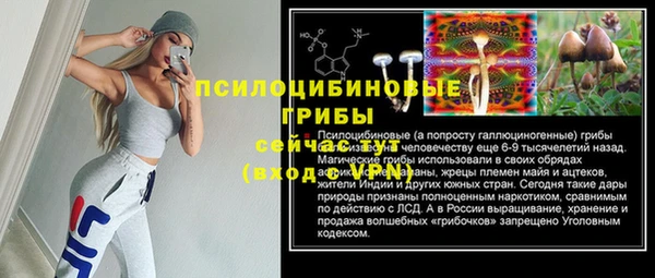 первитин Михайлов